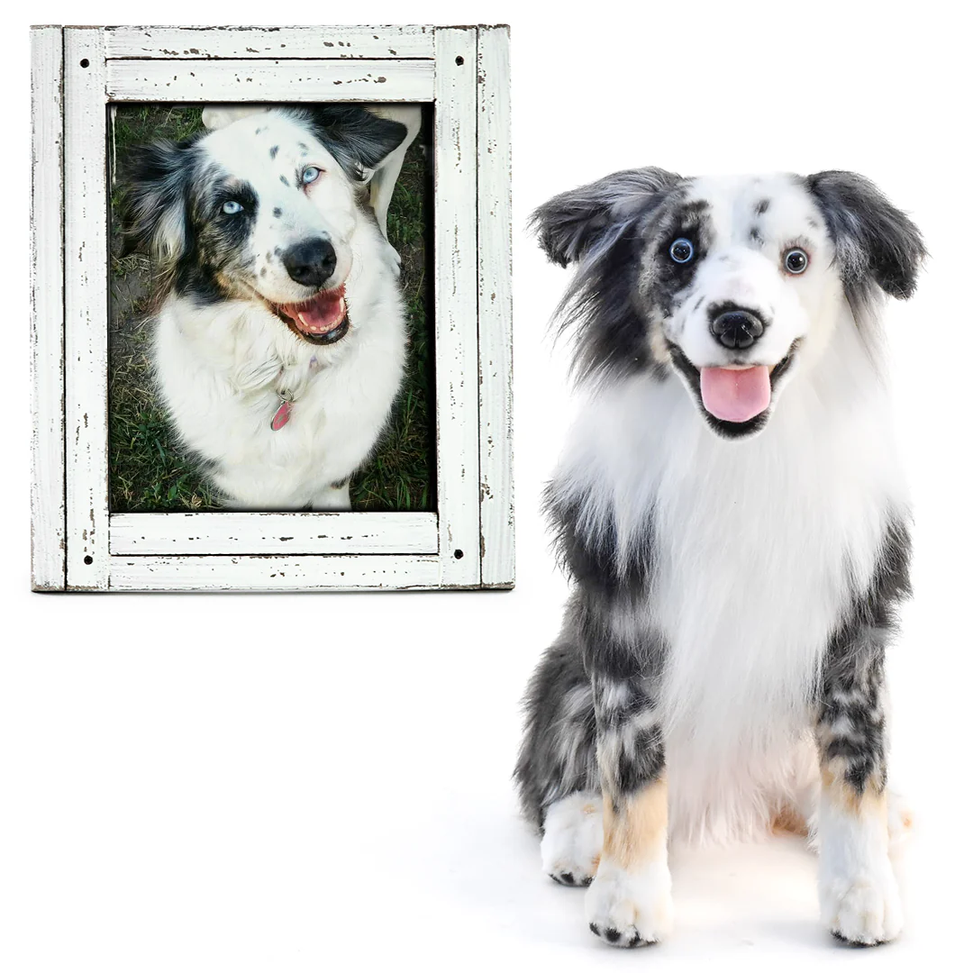 Framed Pet Portrait-Dog